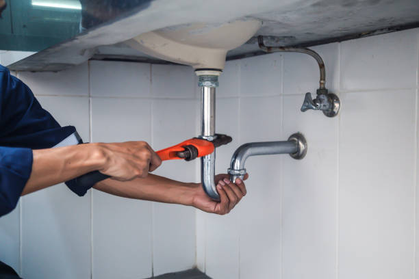 Best Plumbing Inspection Services  in Holley, NY